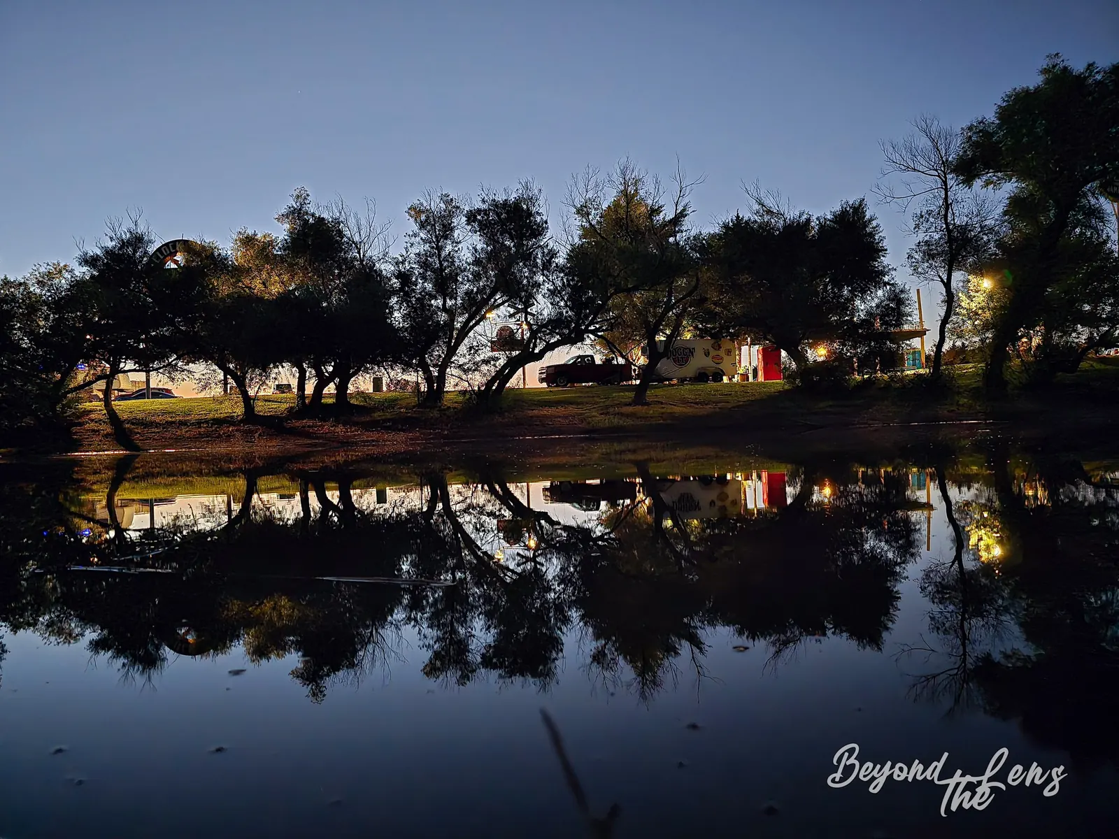 Trees and festival lights reflected in the pond at TwisterFest at night