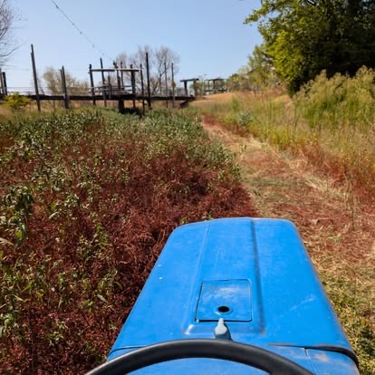 View from a blue tractor during grounds maintenance at Muscle Car Ranch before TwisterFest 2026